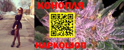 трава Кимры