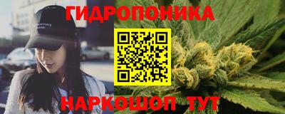 jwh Кингисепп