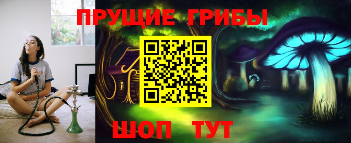 Псилоцибиновые грибы GOLDEN TEACHER Элиста
